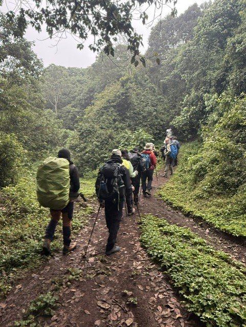 No início da expedição, entre os 2.000 e os 3.000 metros, caminharemos através da floresta tropical situada na base do Ki