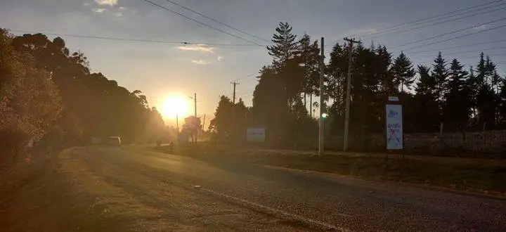 Pôr do sol numa estrada ladeada de pinheiros, perto de Iten.