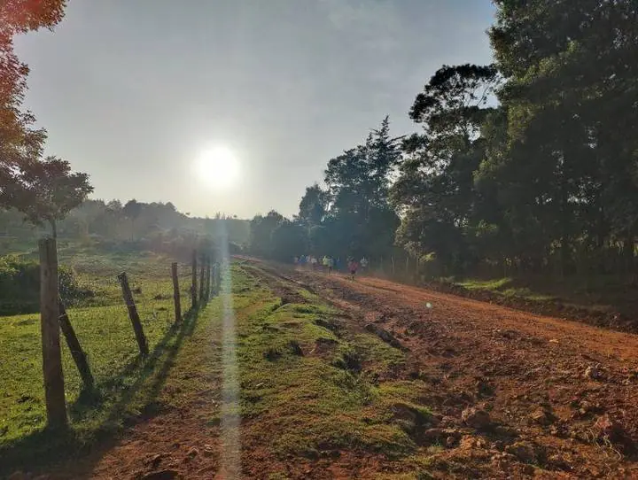 Nascer do sol numa estrada de terra vermelha: os primeiros corredores do dia já estão a treinar.