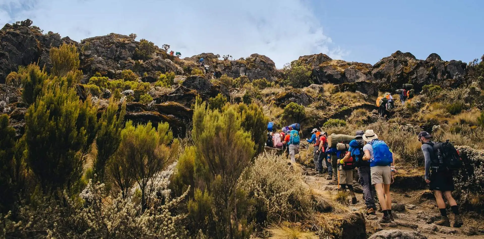 Kilimanjaro Elite Program
